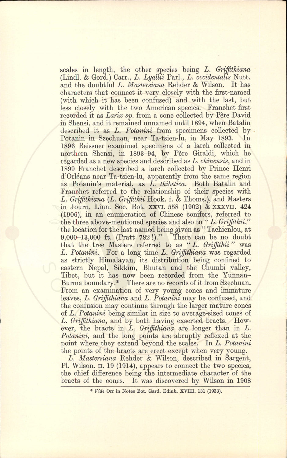Plate 9338 - Larix potanini