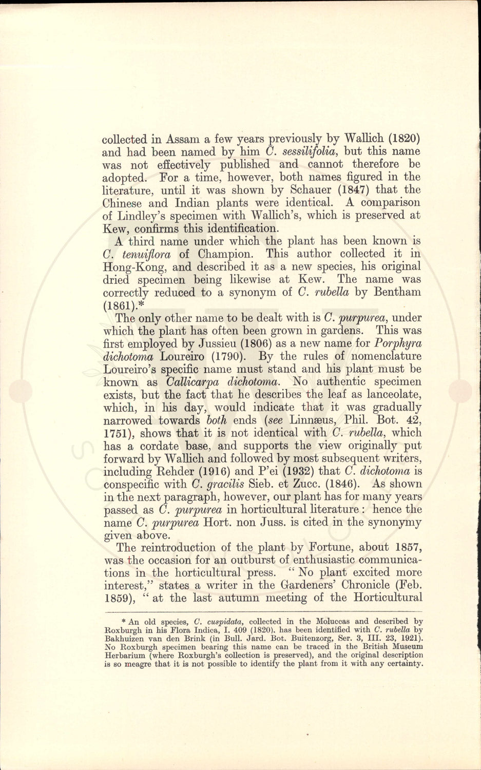 Plate 9340 - Callicarpa rubella
