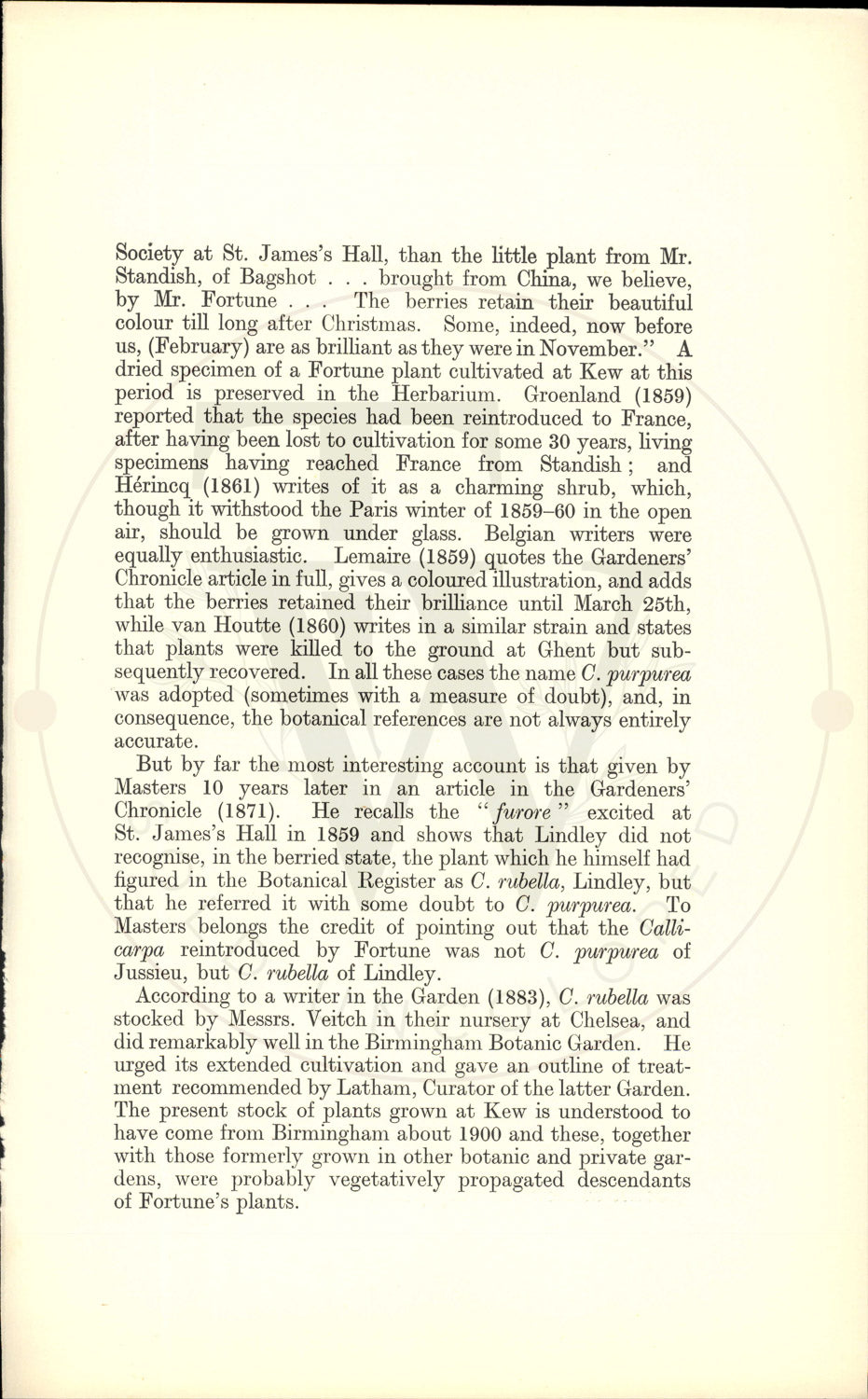 Plate 9340 - Callicarpa rubella