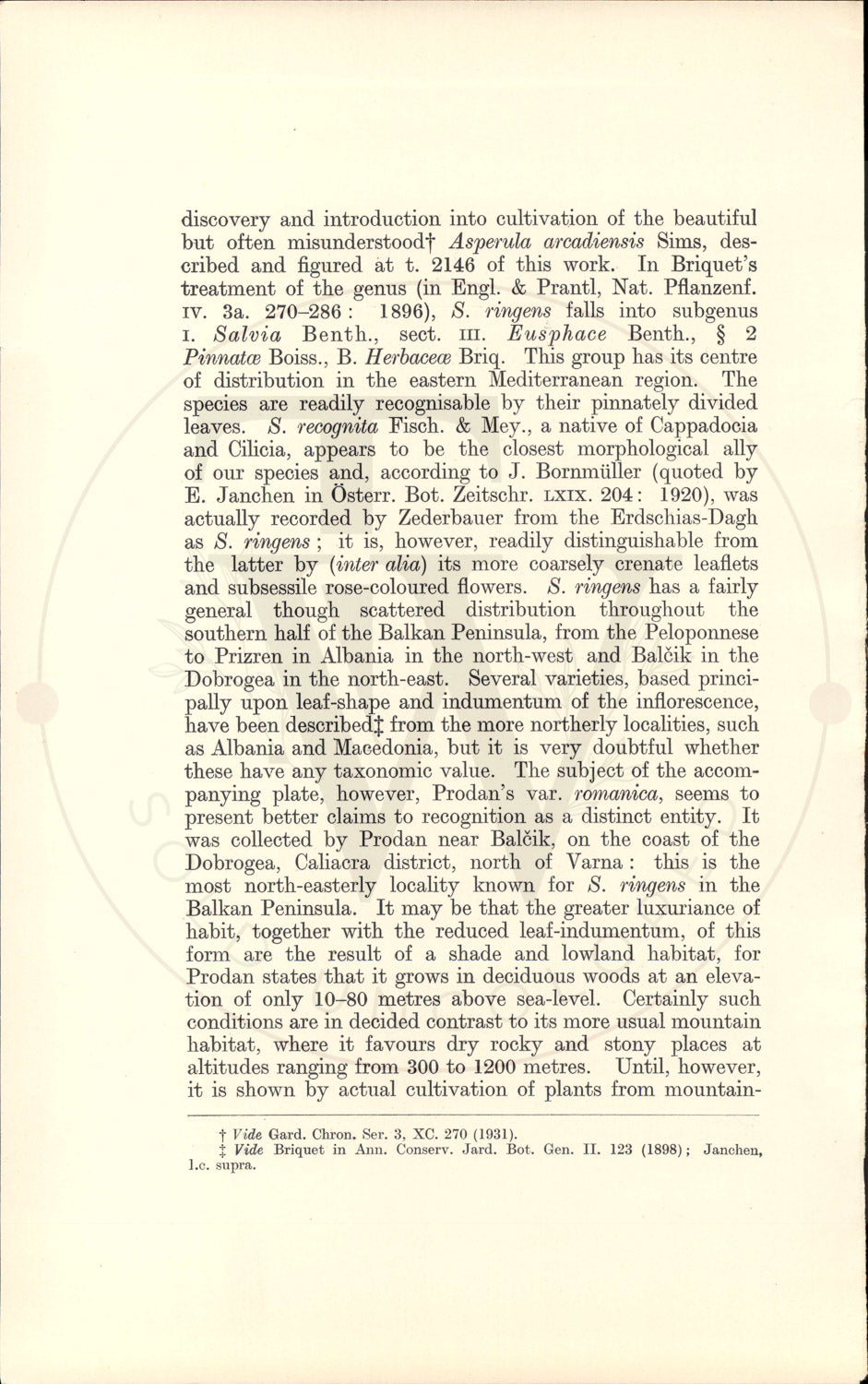 Plate 9346 - Salvia ringens