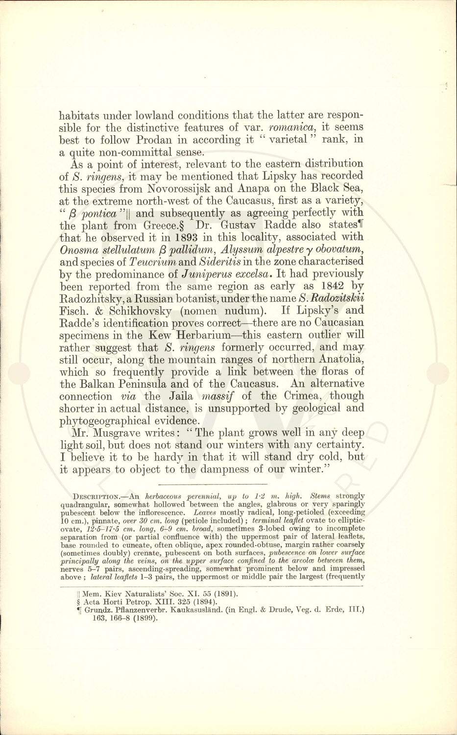 Plate 9346 - Salvia ringens