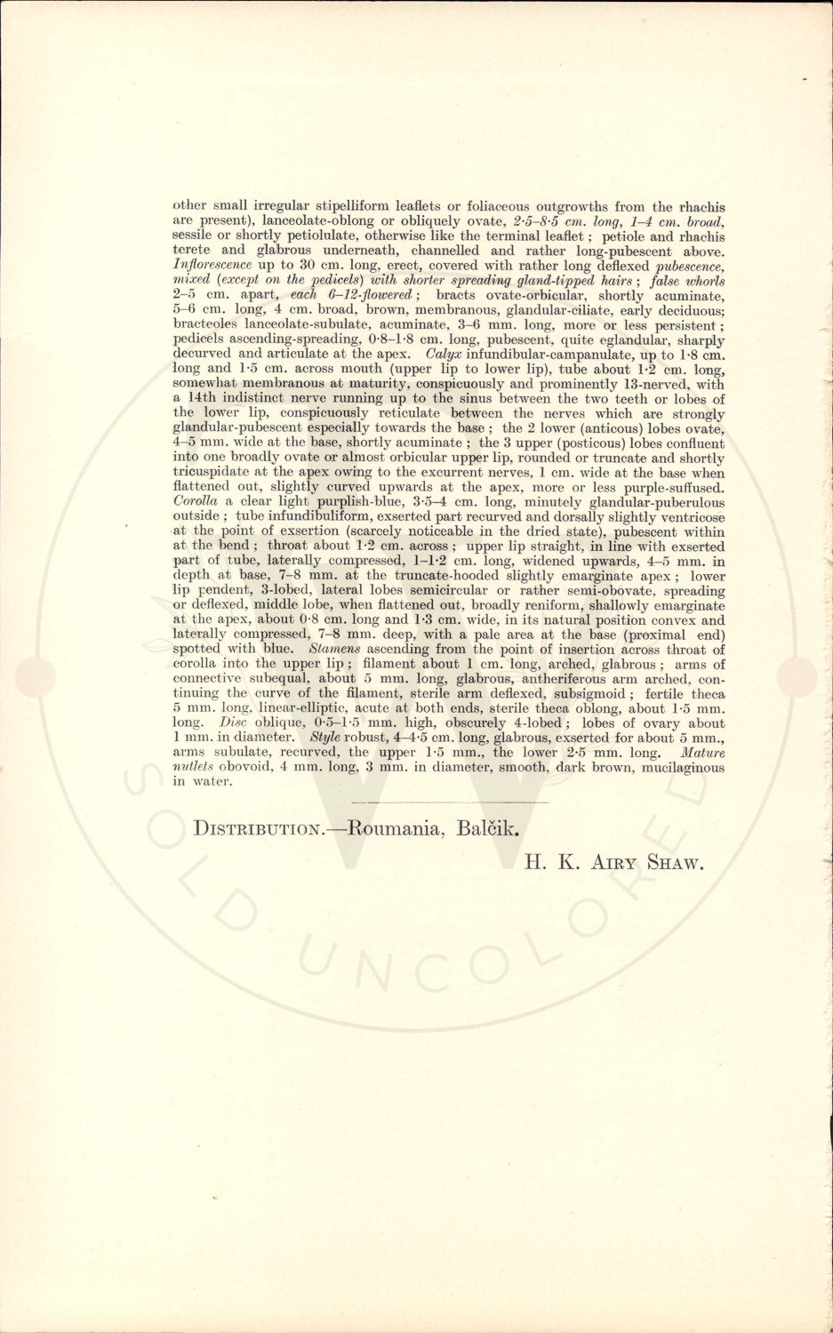 Plate 9346 - Salvia ringens