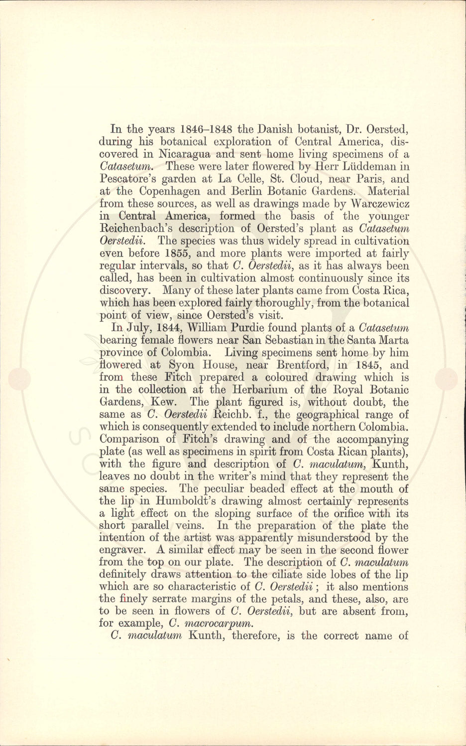 Plate 9347 - Catasetum maculatum