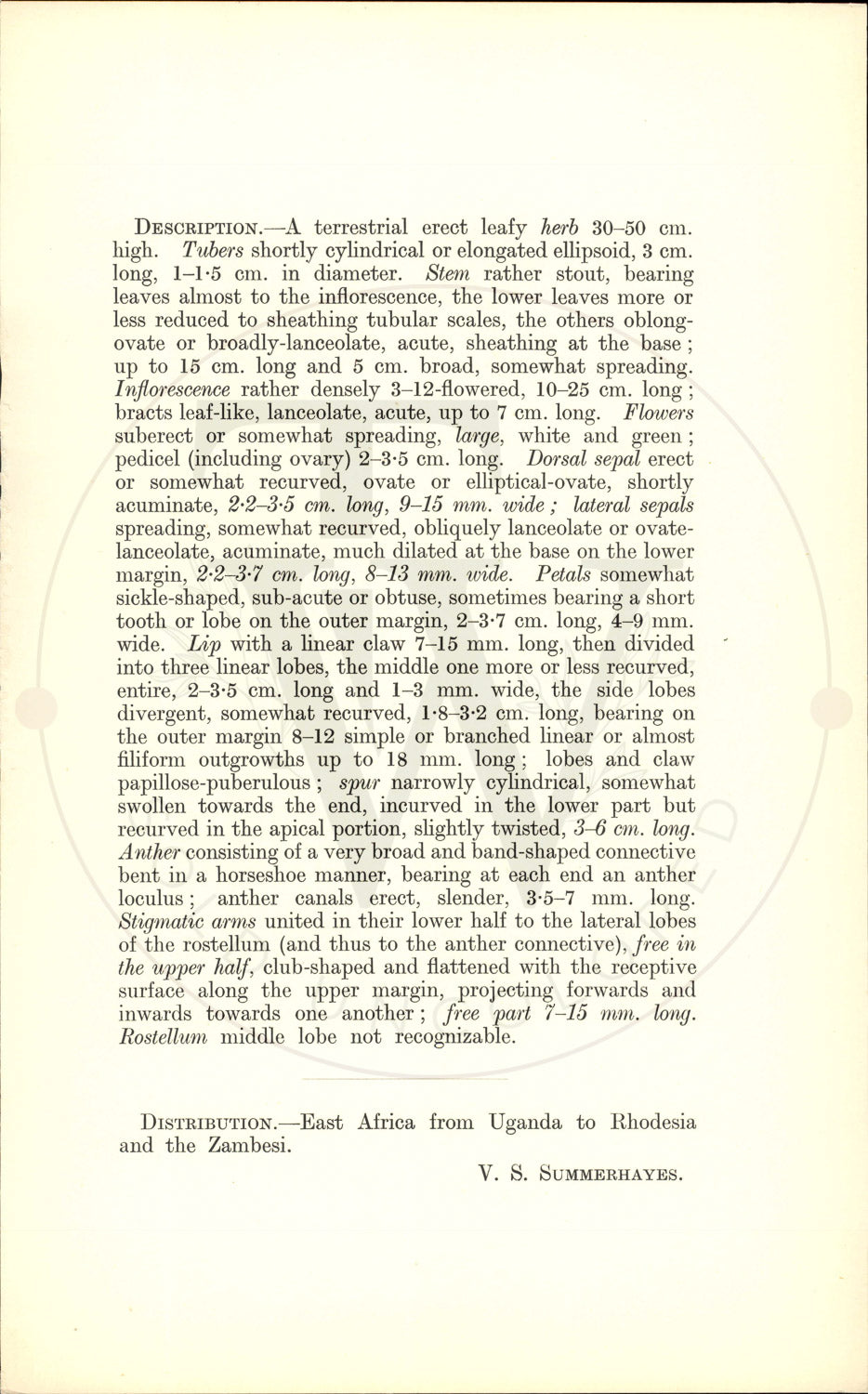 Plate 9350 - Habenaria splendens