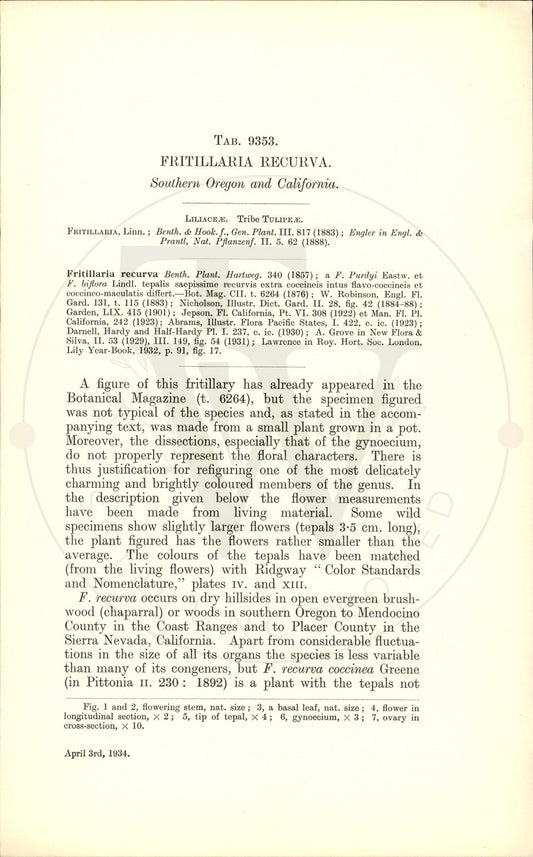 Plate 9353 - Fritillaria recurva