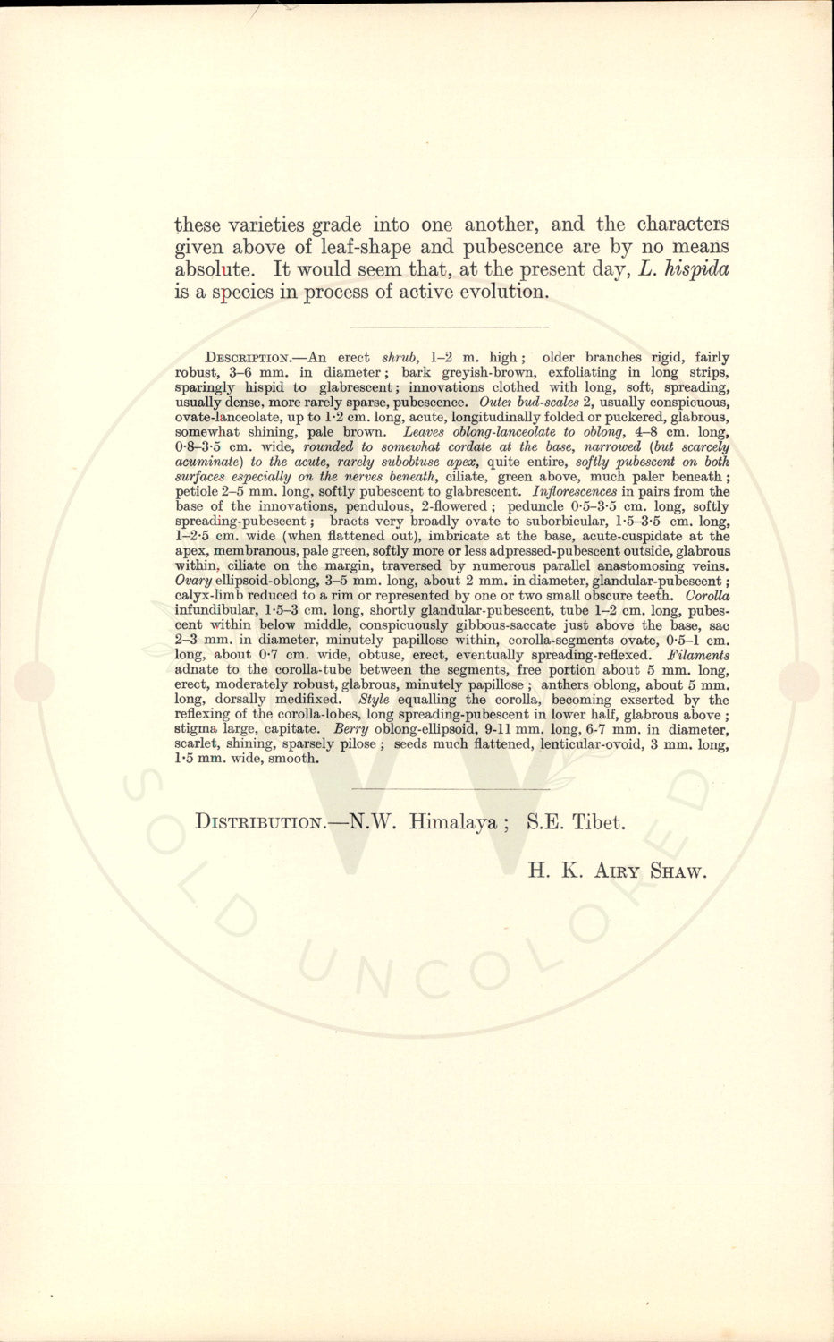 Plate 9360 - Lonicera hispida