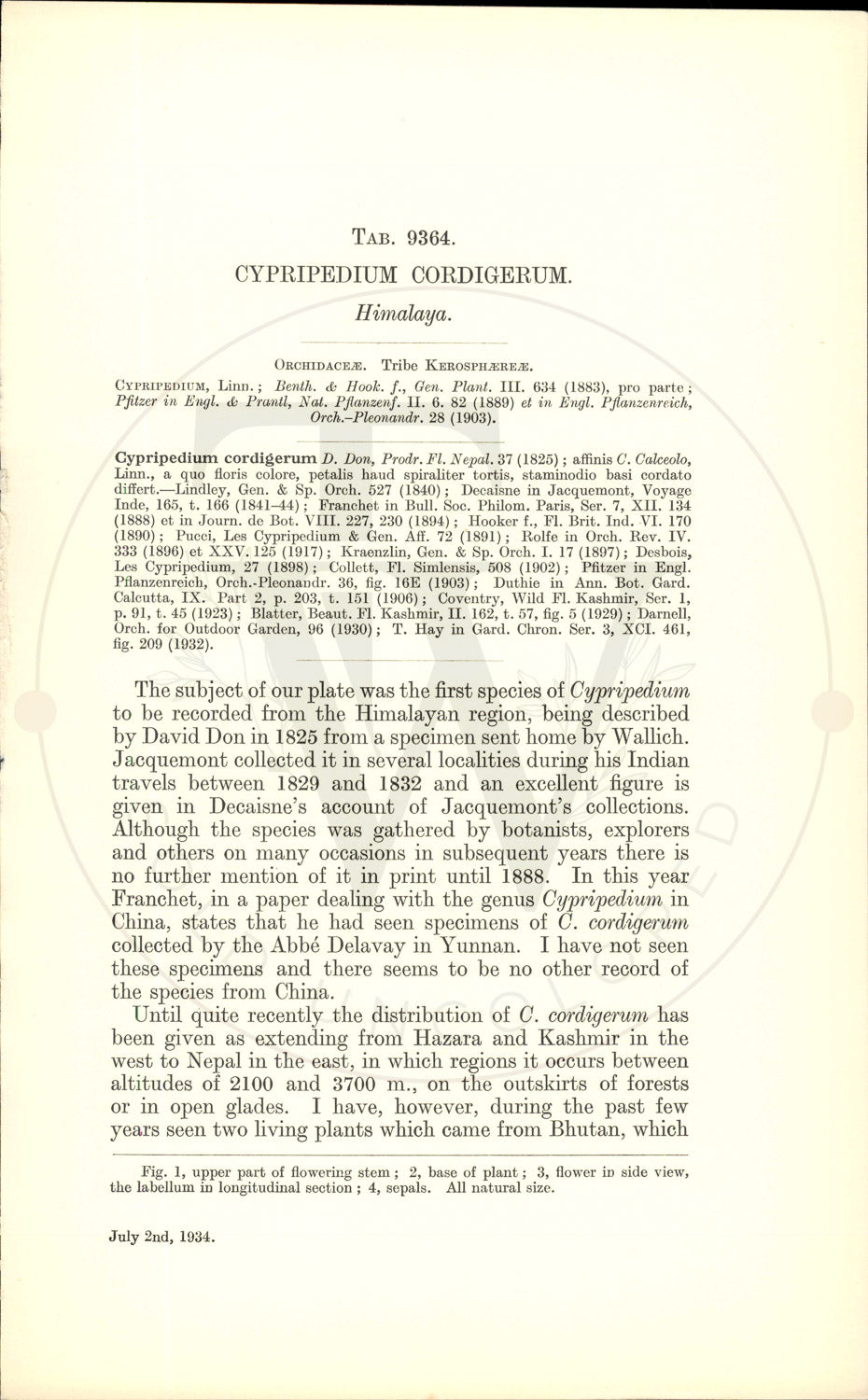 Plate 9364 - Cypripedium cordigerum