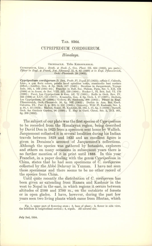Plate 9364 - Cypripedium cordigerum