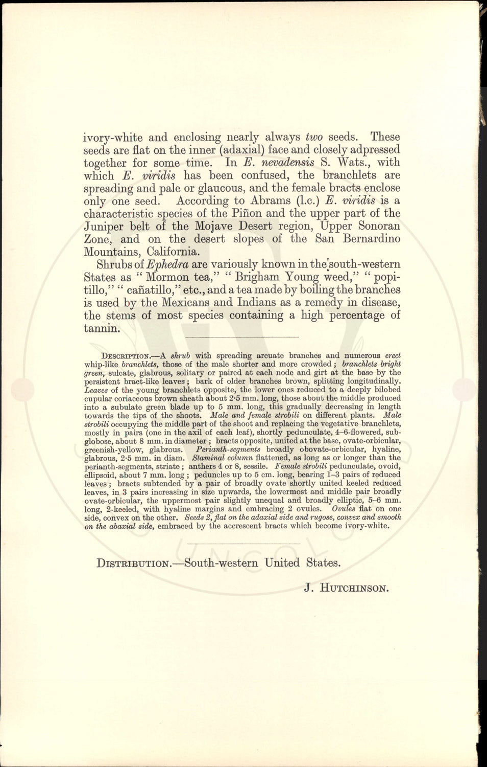 Plate 9366 - Ephedra viridis