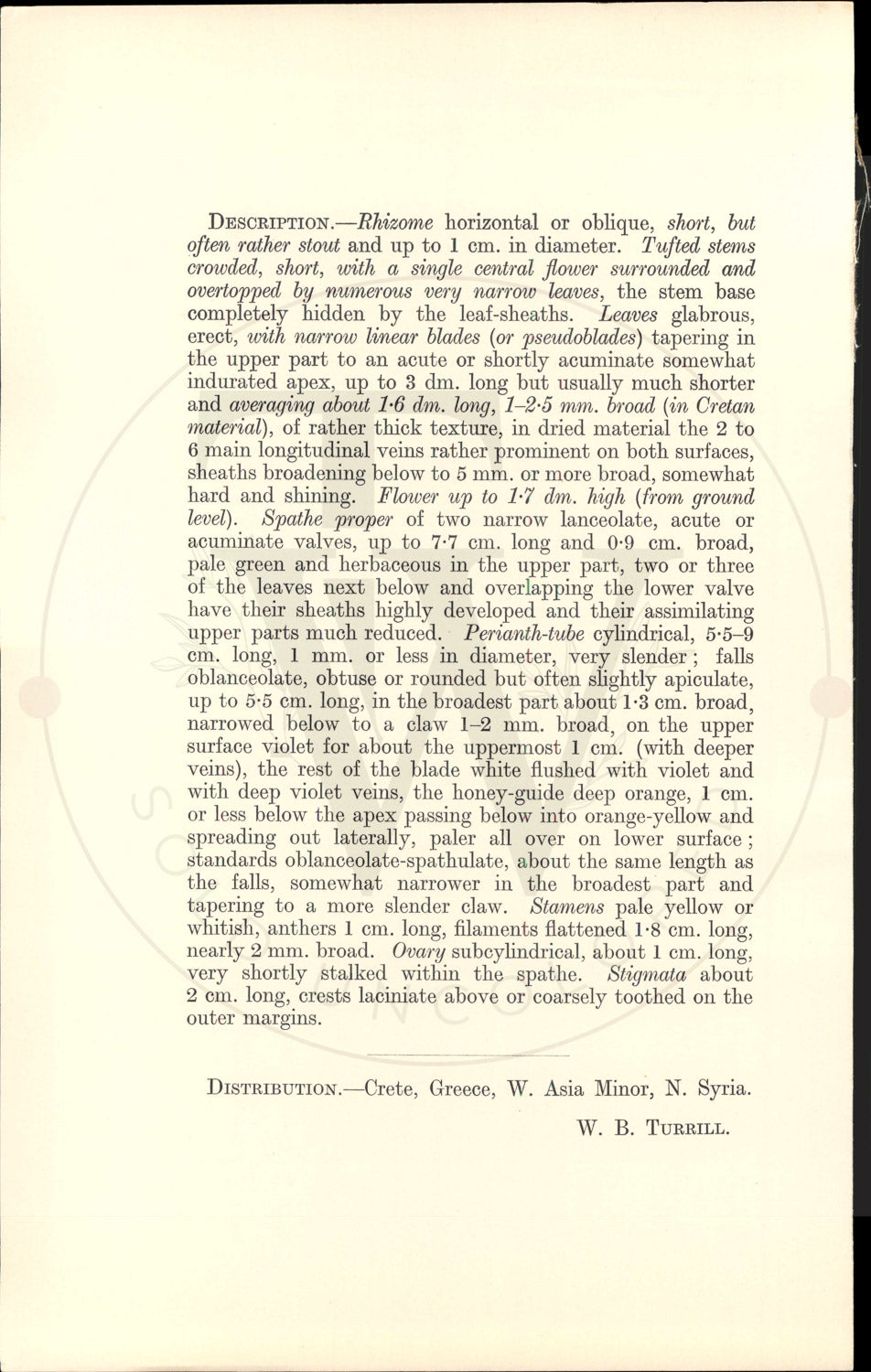 Plate 9369 - Iris cretensis