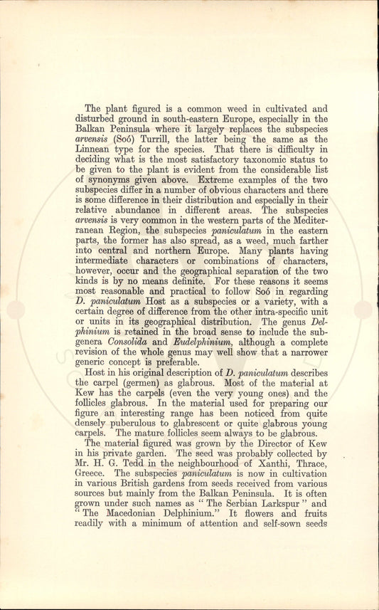 Plate 9435 - Botanical Print