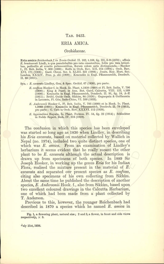 Plate 9453 - Eria amica