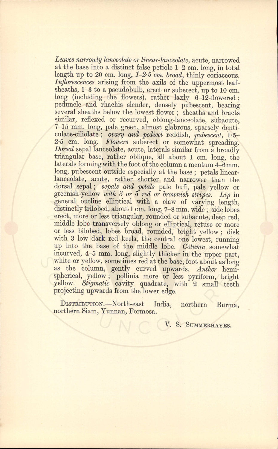 Plate 9453 - Eria amica