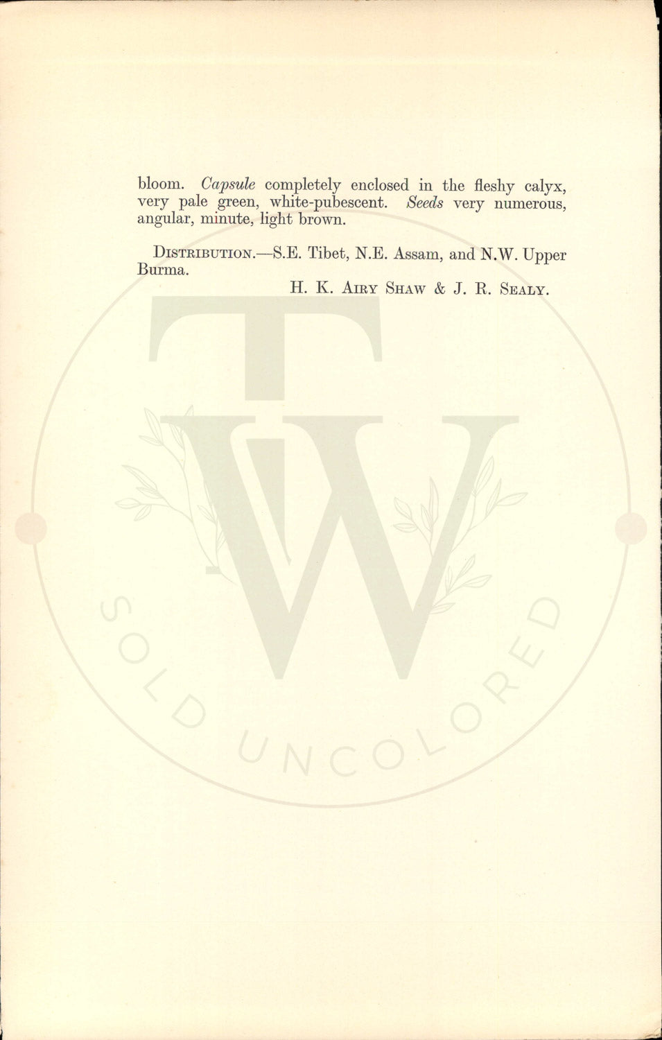Plate 9516 - Gaultheria wardii