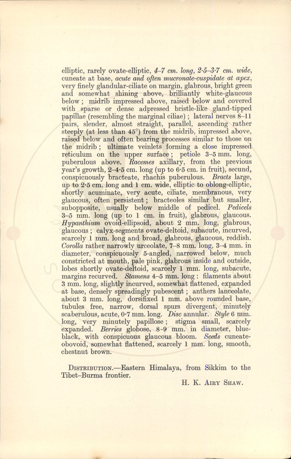 Plate 9536 - Vaccinium glauco-album