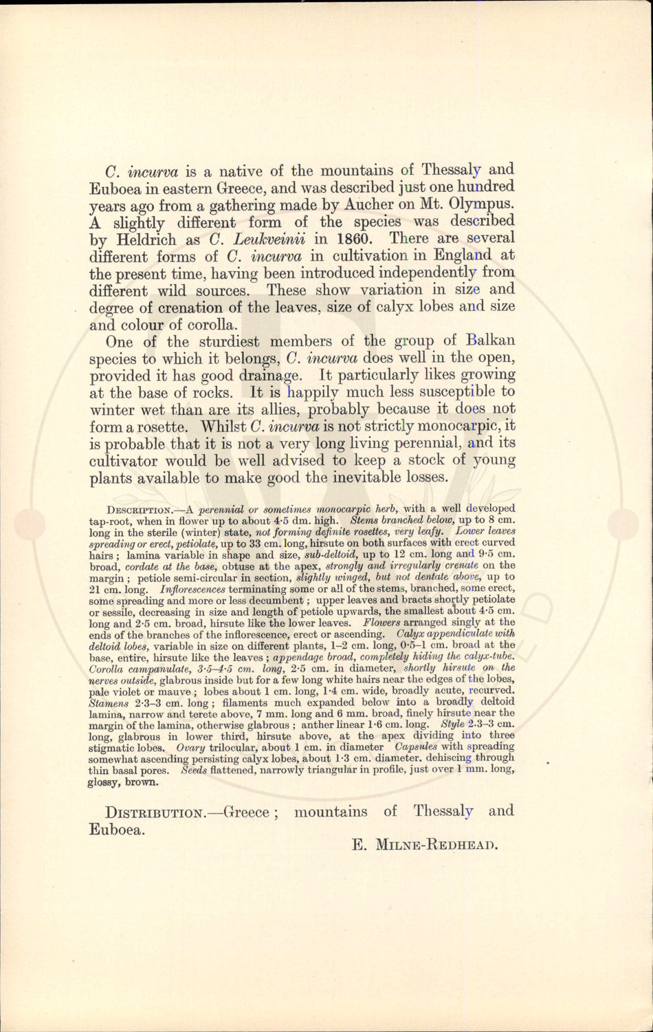 Plate 9556 - Campanula incurva