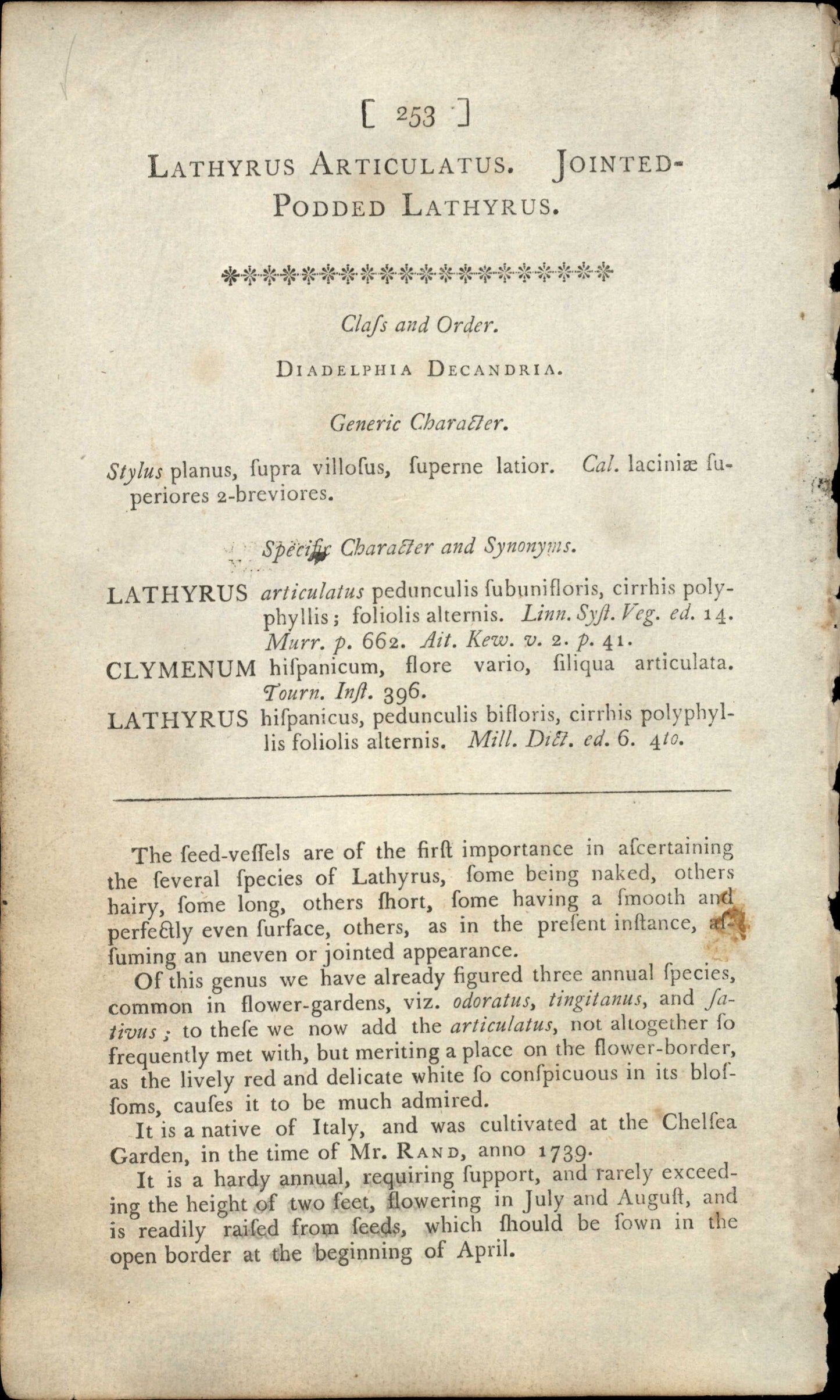 Plate 253 - Jointed- Podded Lathyrus