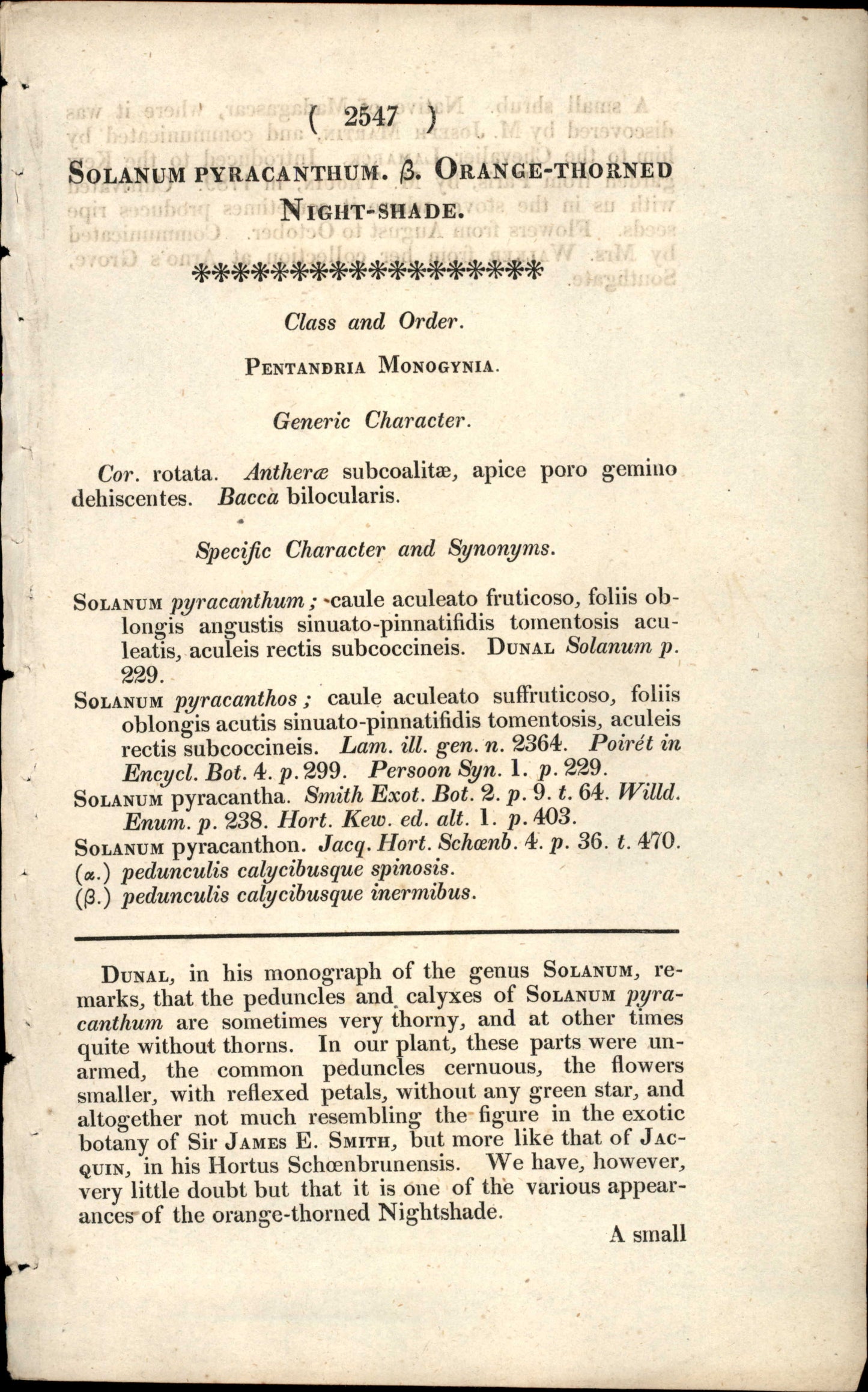 Plate 2547 - Solanum Pyracanthum
