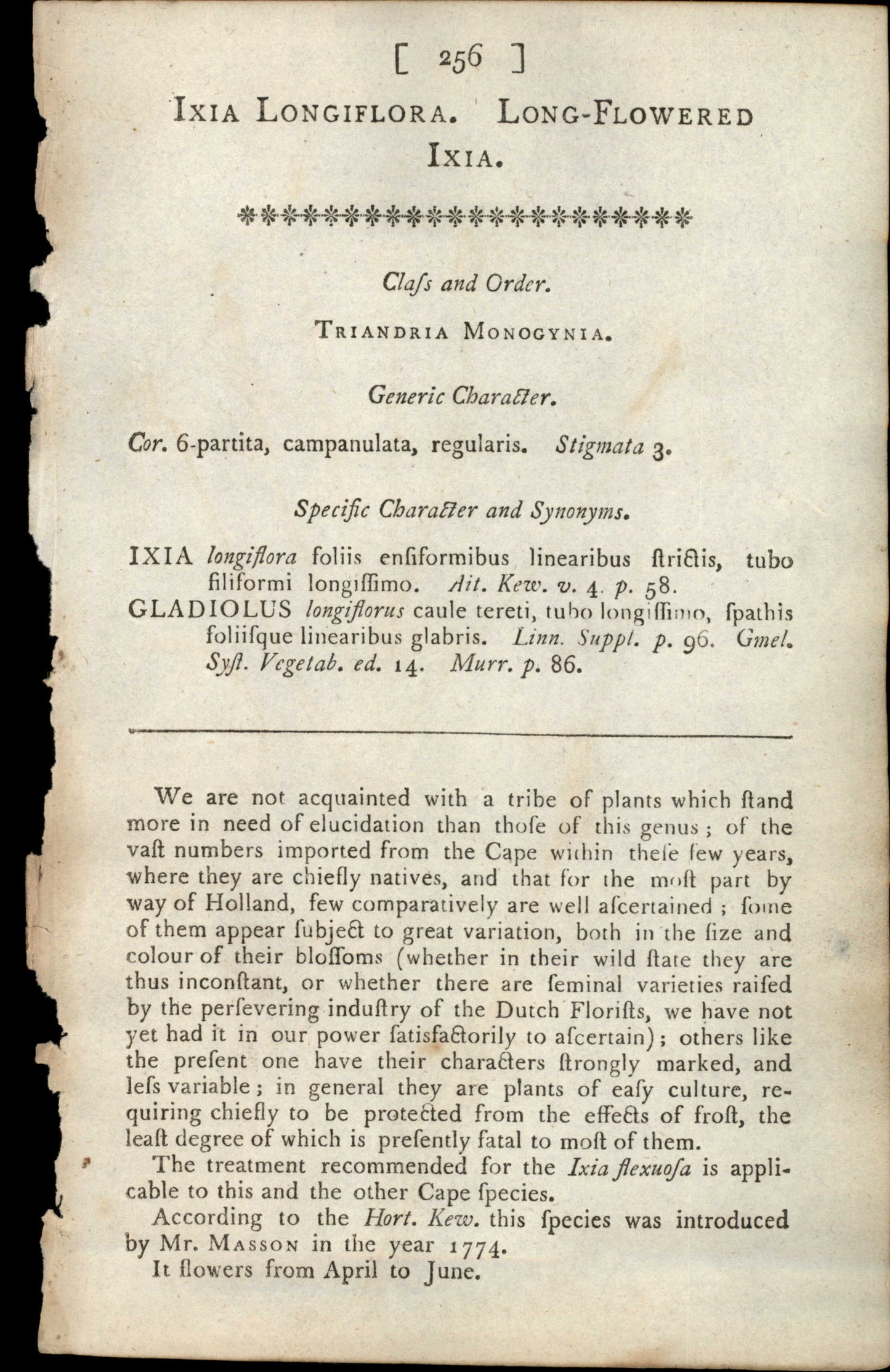 Curtis Botanical – Plate 256 – Long-Flowered Ixia