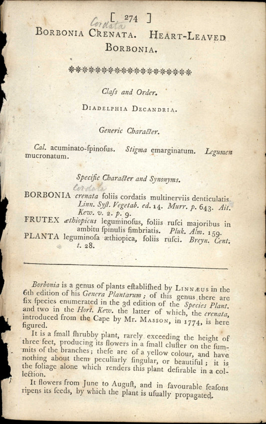 Curtis Botanical – Plate 274 – Heart Leaved Borbonia