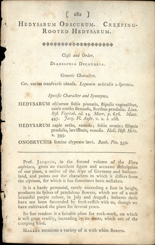 Plate 282 - Creeping- Rooted Hedysarum