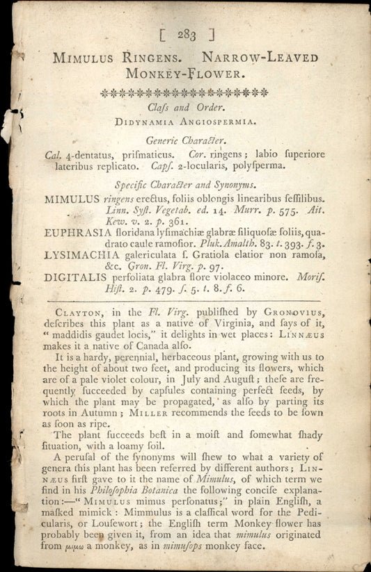 Plate 283 - Narrow-leaved Monkey-flower