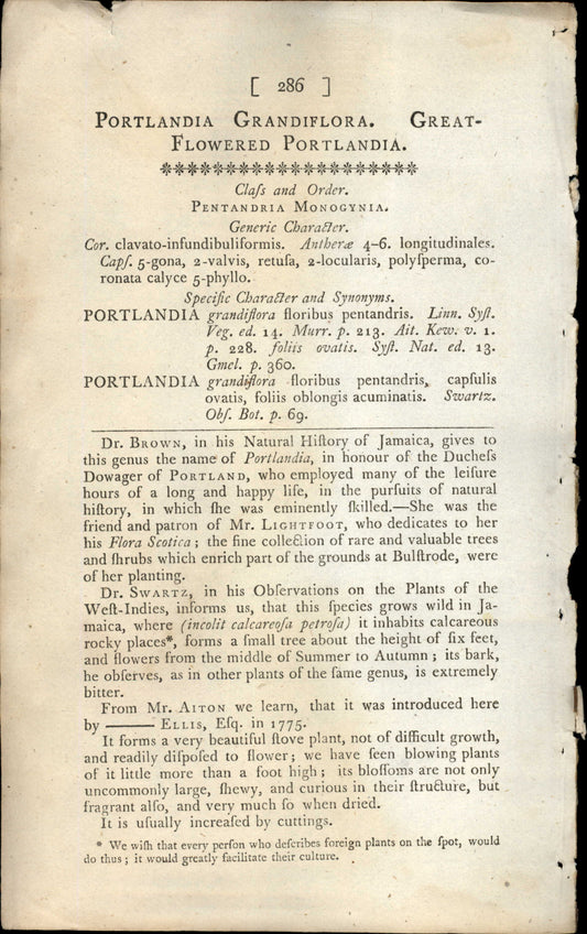 Plate 286 - Flowered Portlandia