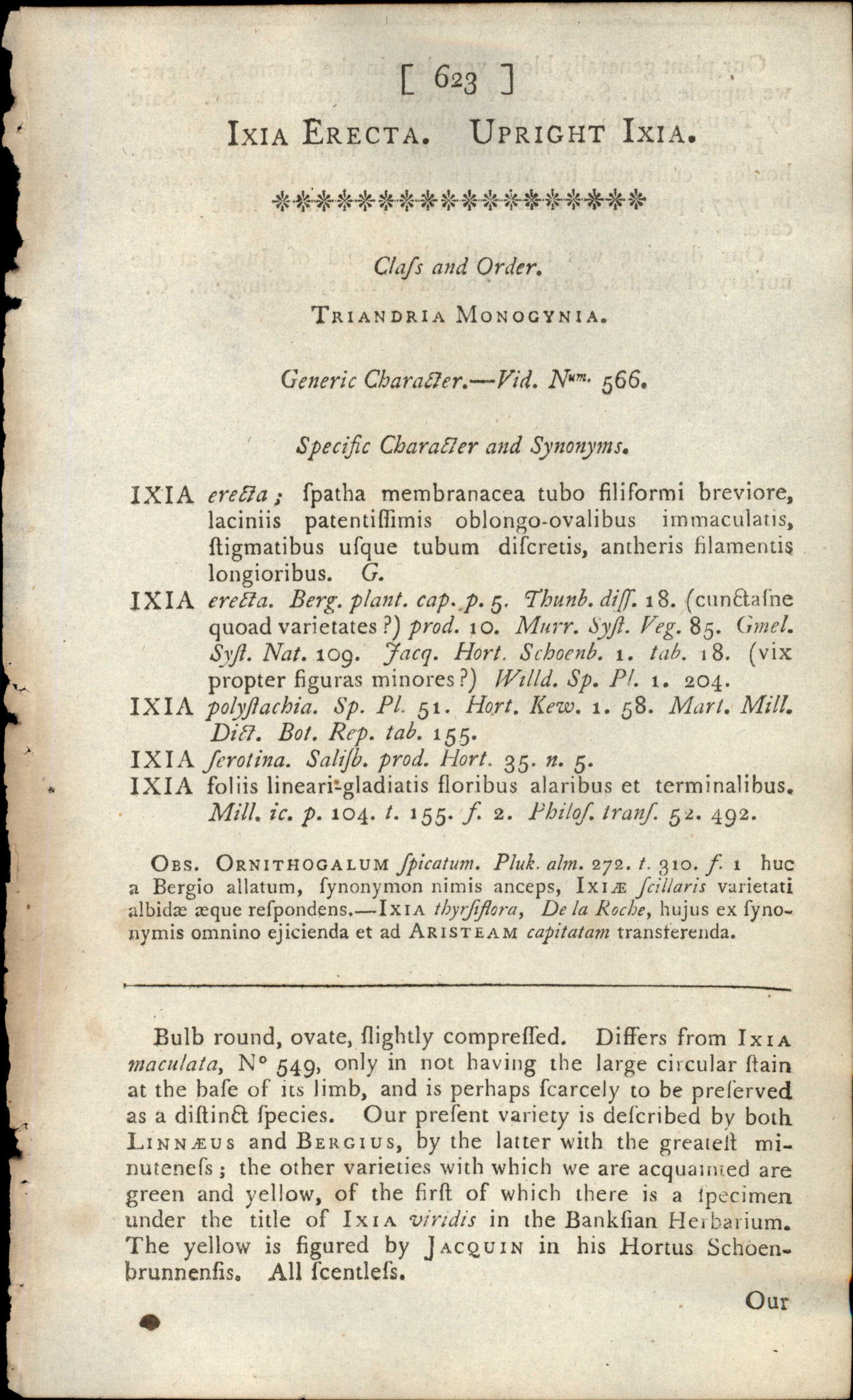 Plate 623 - Upright Ixia
