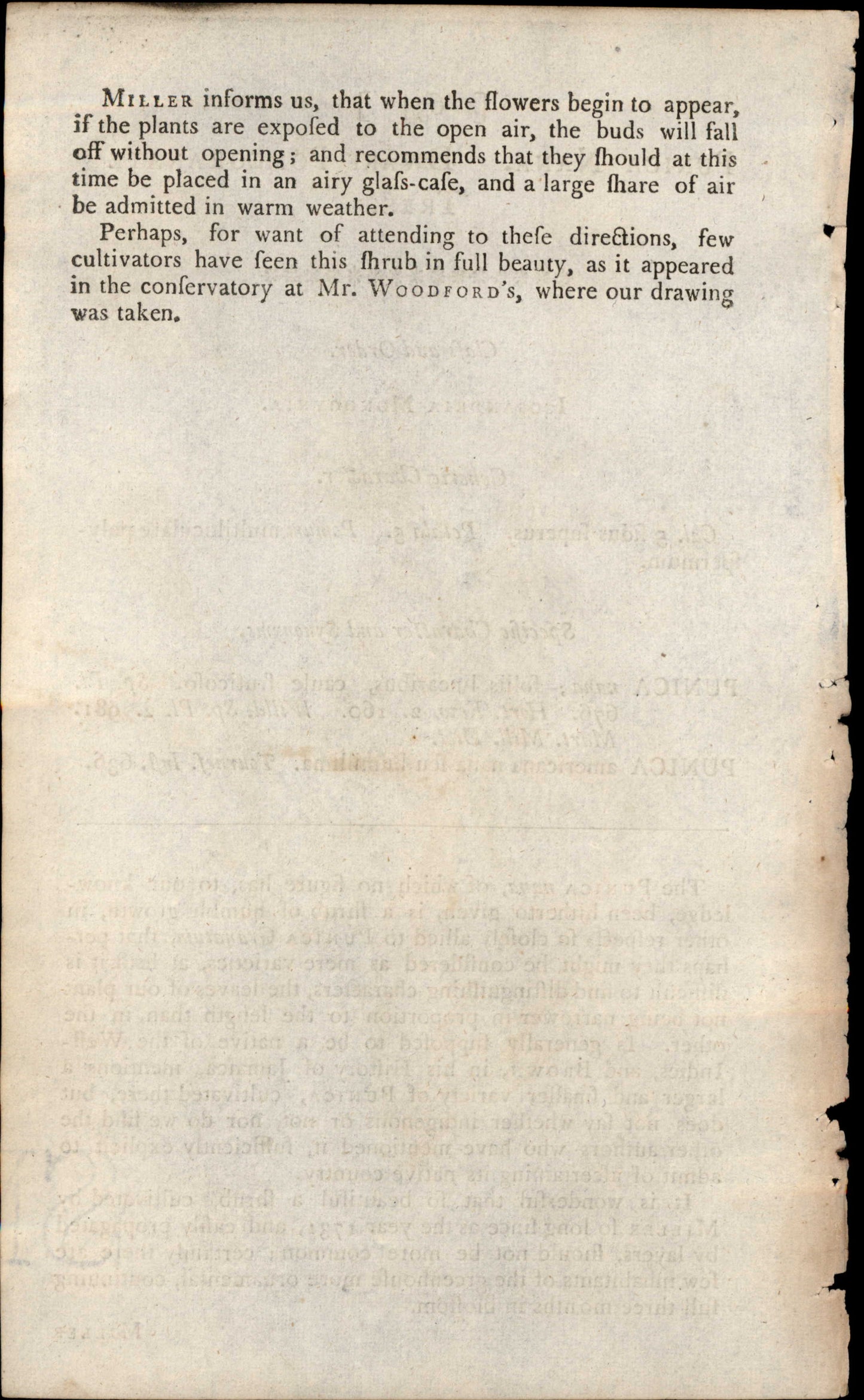 Plate 634 - Icosandria Monogynia