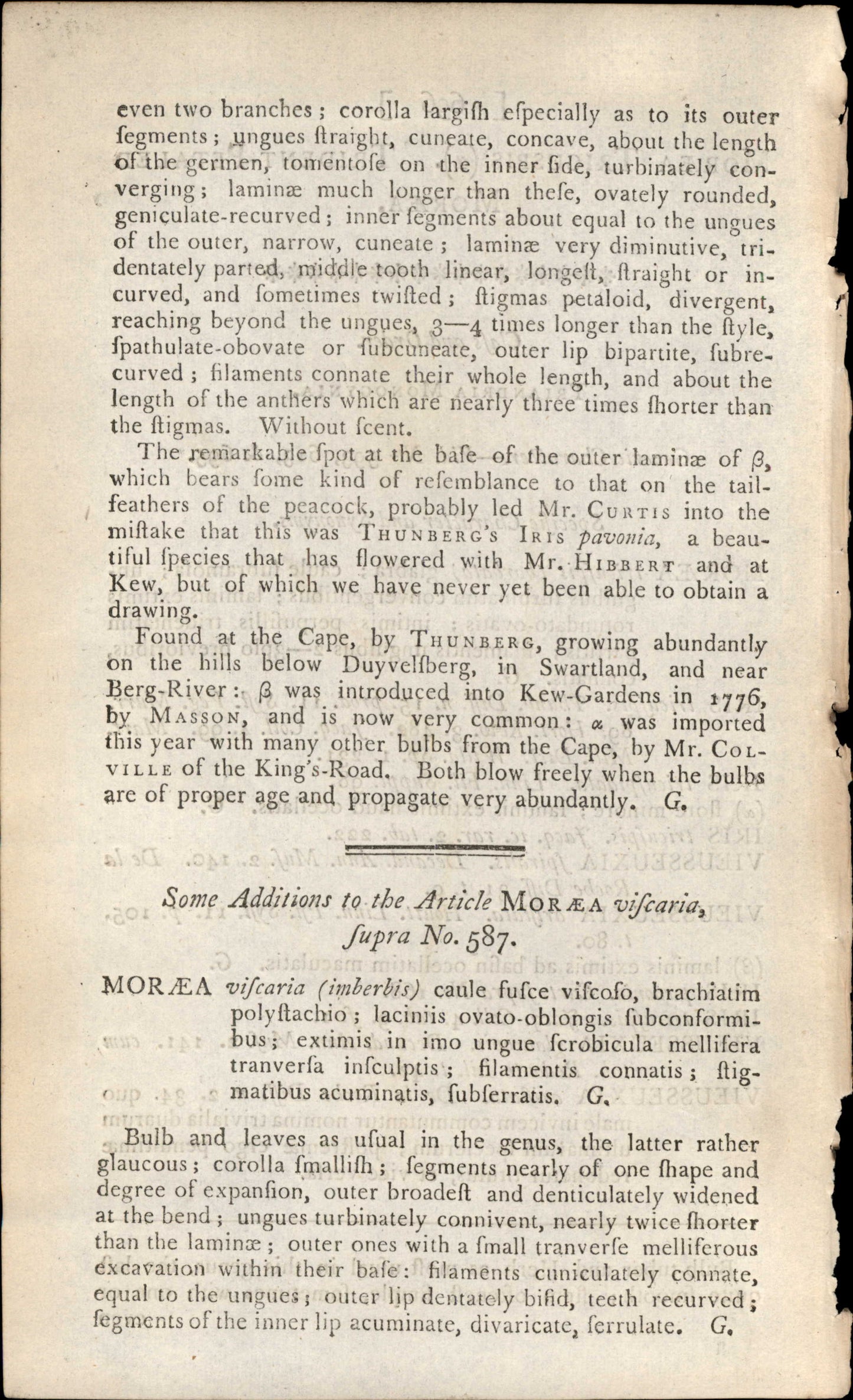 Plate 696 - Triandria Monogynia