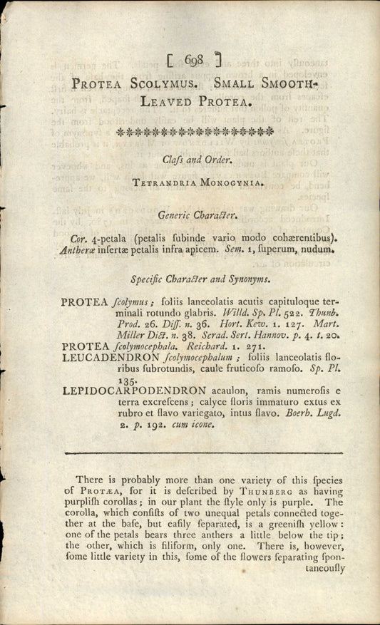 Plate 698 - Protea Scolymus