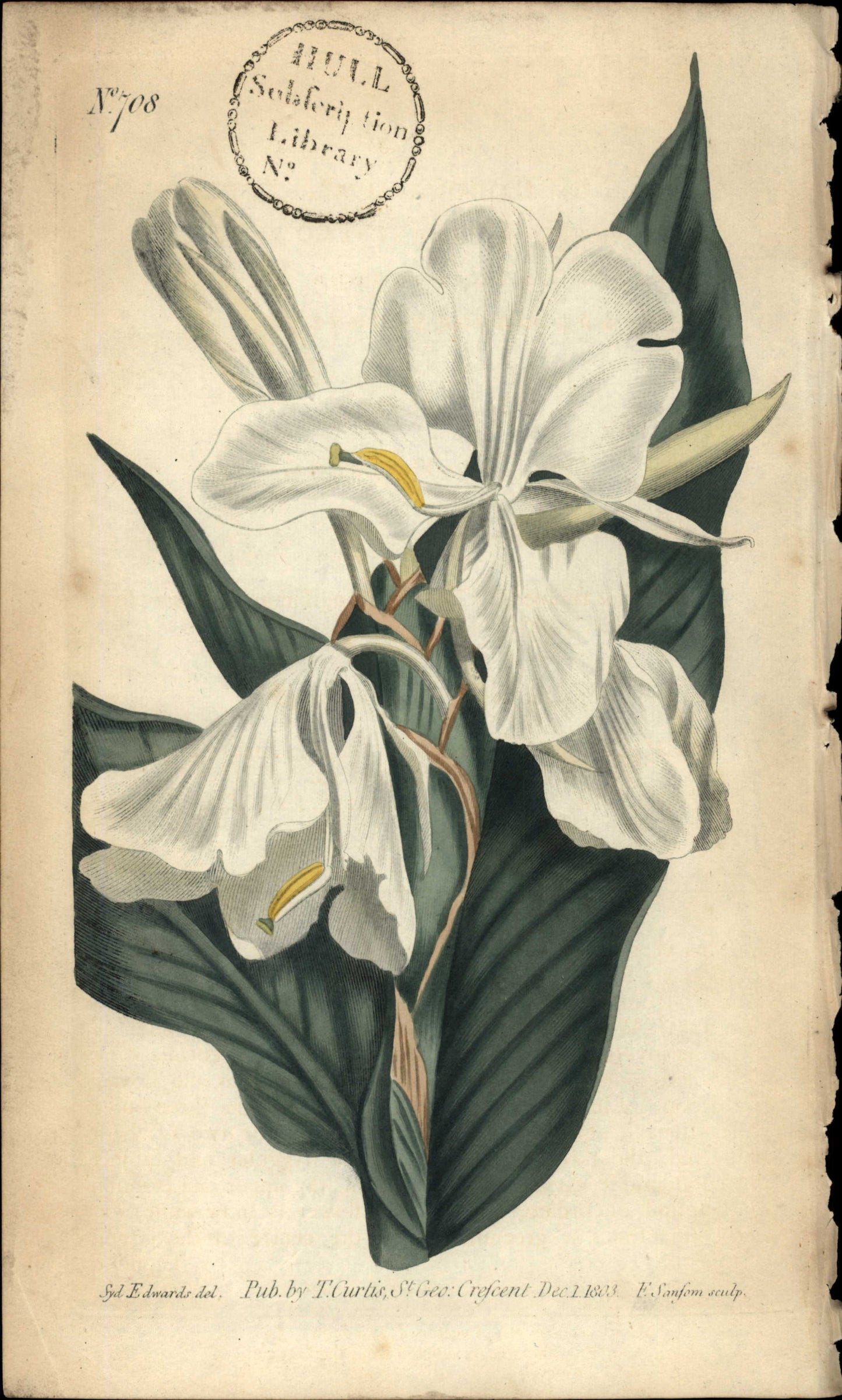 Plate 708 - Monandria Monogynia