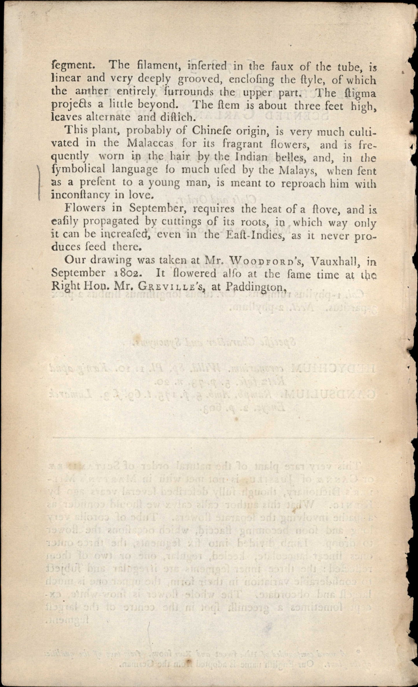 Plate 708 - Monandria Monogynia
