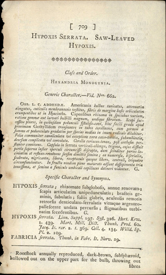 Plate 709 - Saw-leaved Hypoxis