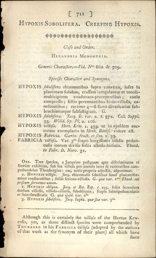 Plate 711 - Creeping Hypoxis