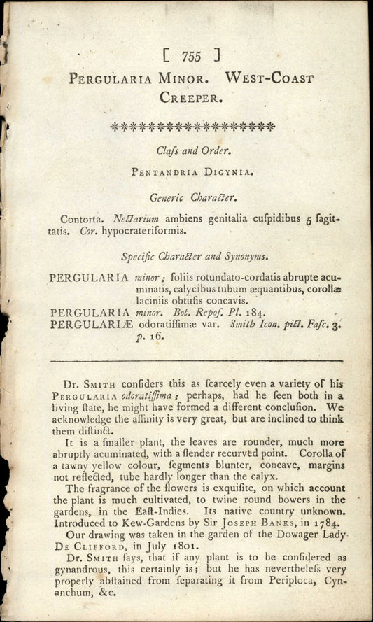 Plate 755 - Pergularia Minor