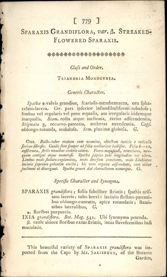 Plate 779 - Flowered Sparaxis