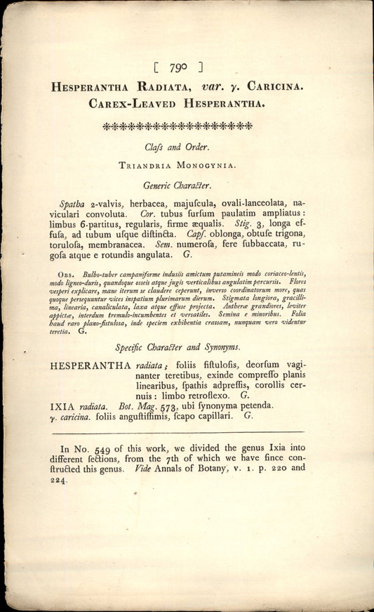 Plate 790 - Leaved Hesperantha