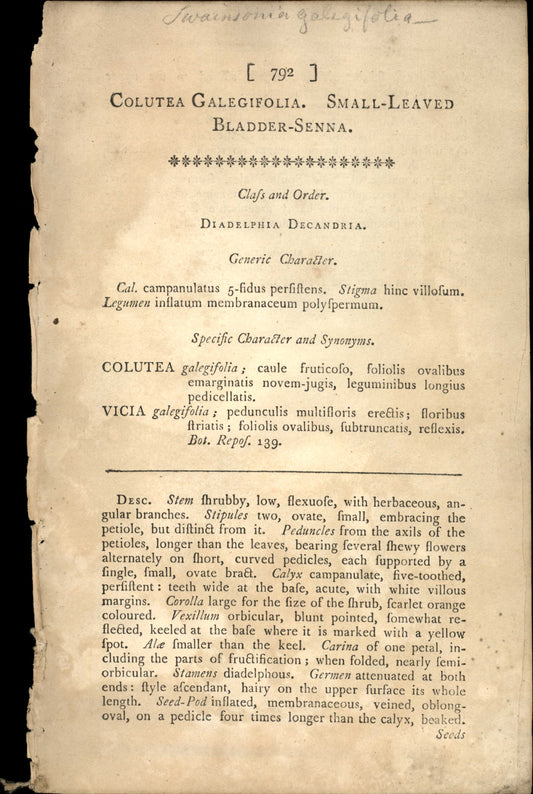 Plate 792 - Colutea Galegifolia
