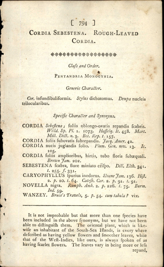 Plate 794 - Rough-leaved Cordia