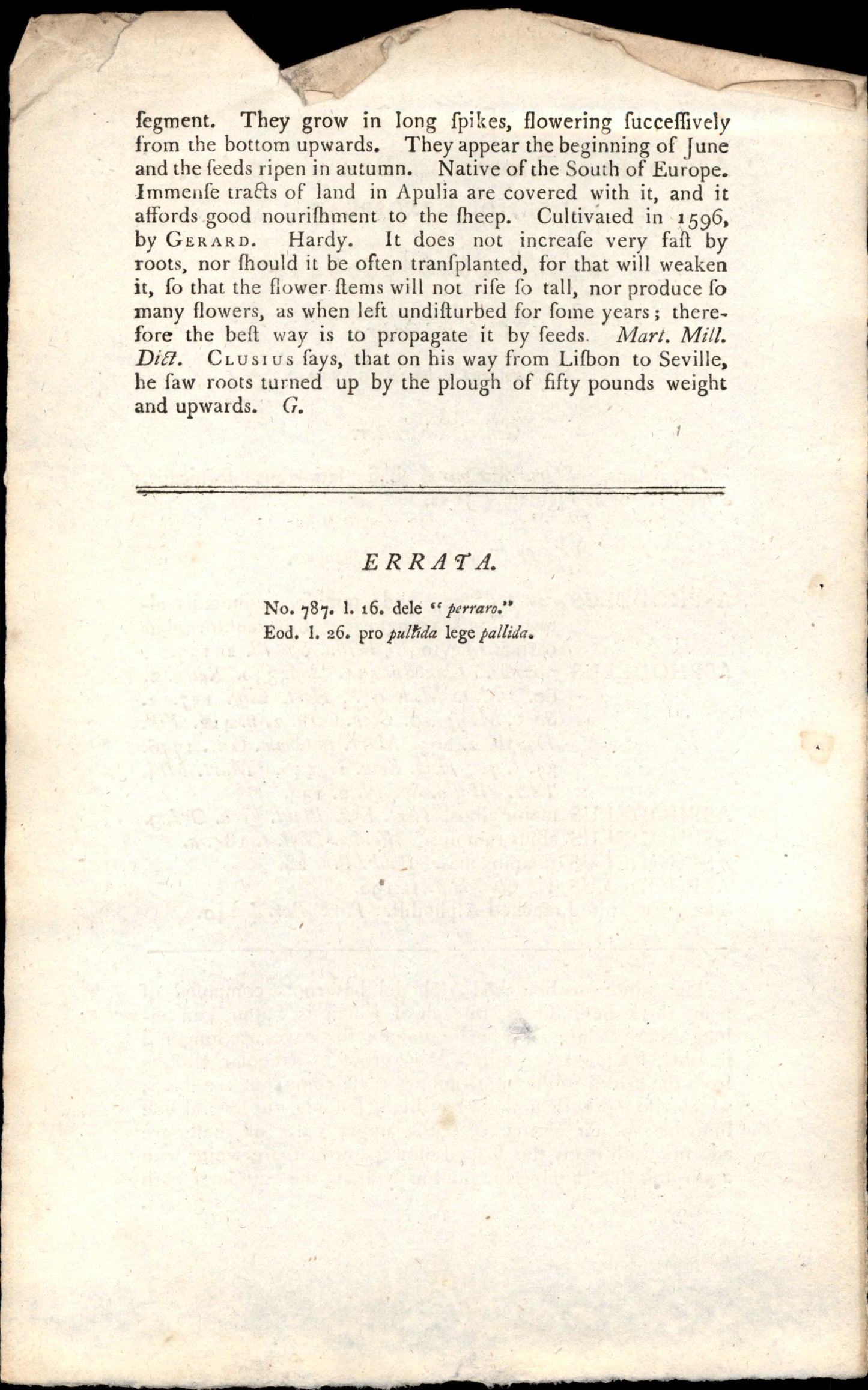 Plate 799 - Asphodelus Ramosus