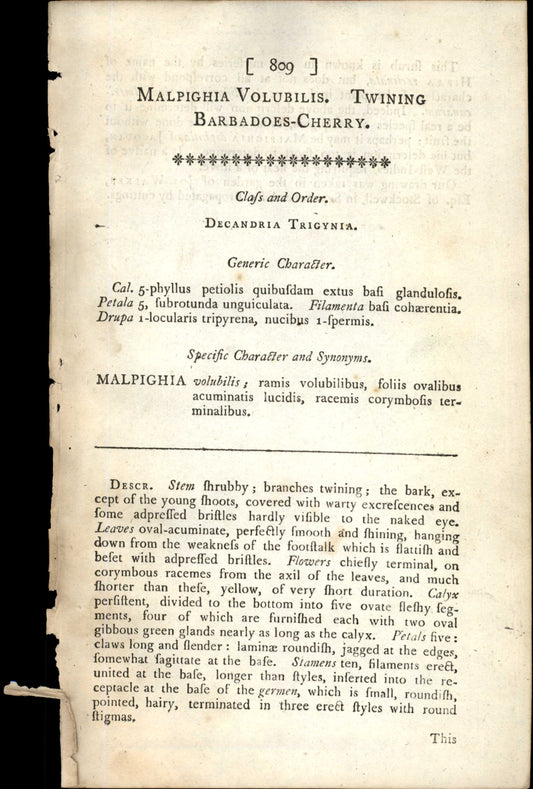 Plate 809 - Malpighia Volubilis