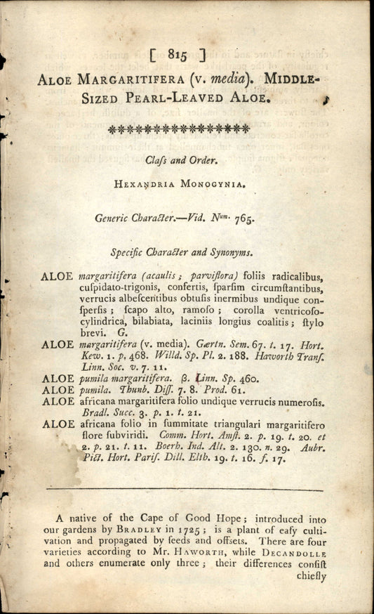 Plate 815 - Leaved Aloe