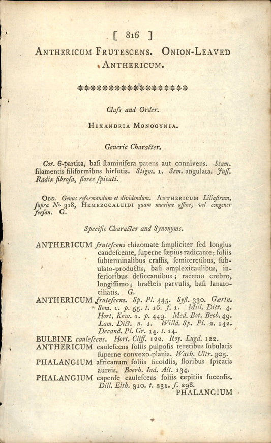 Plate 816 - Anthericum Frutescens