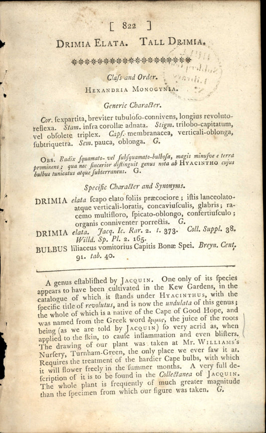 Plate 822 - Drimia Elata