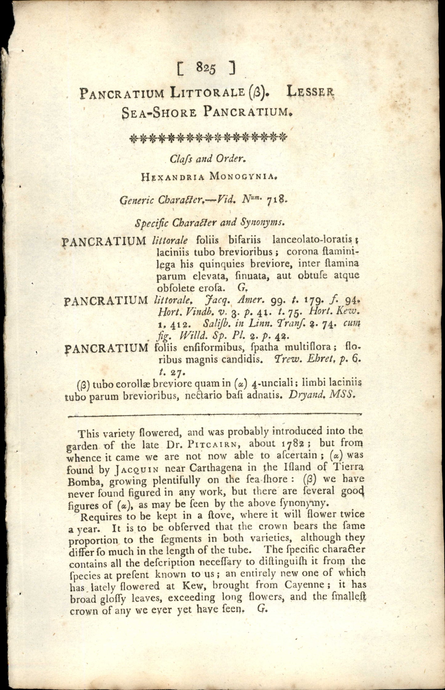 Plate 825 - Lesser Sea-shore Pancratium