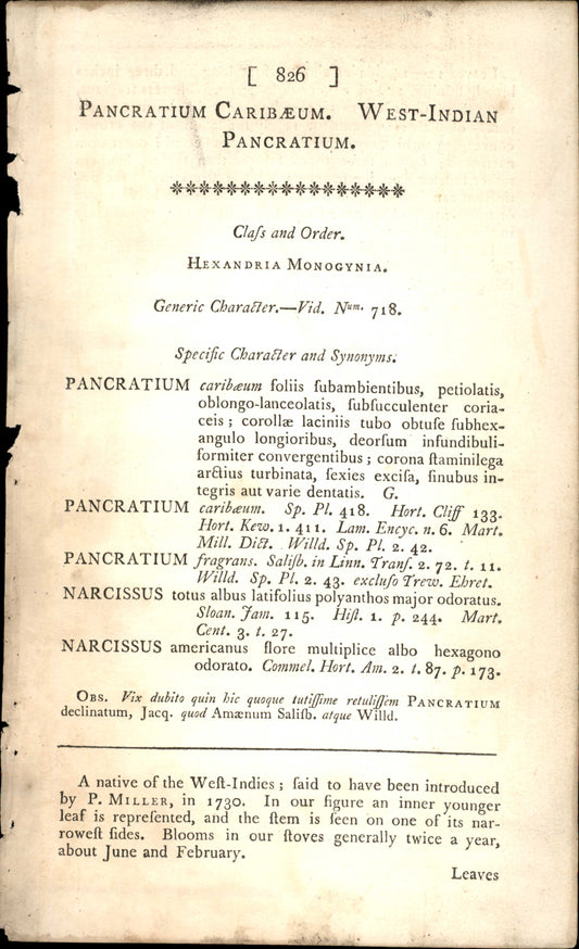 Plate 826 - West-indian Pancratium