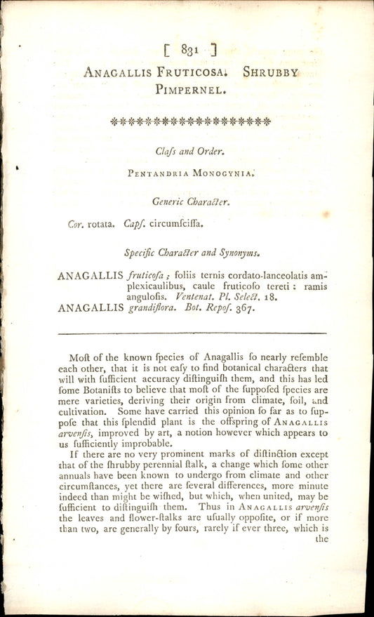 Plate 831 - Shrubby Pimpernel