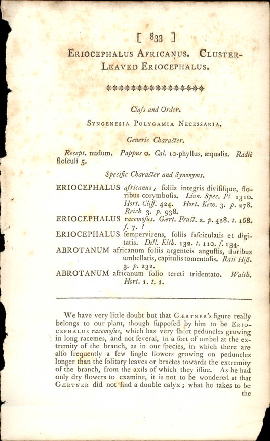 Plate 833 - Cluster- Leaved Eriocephalus