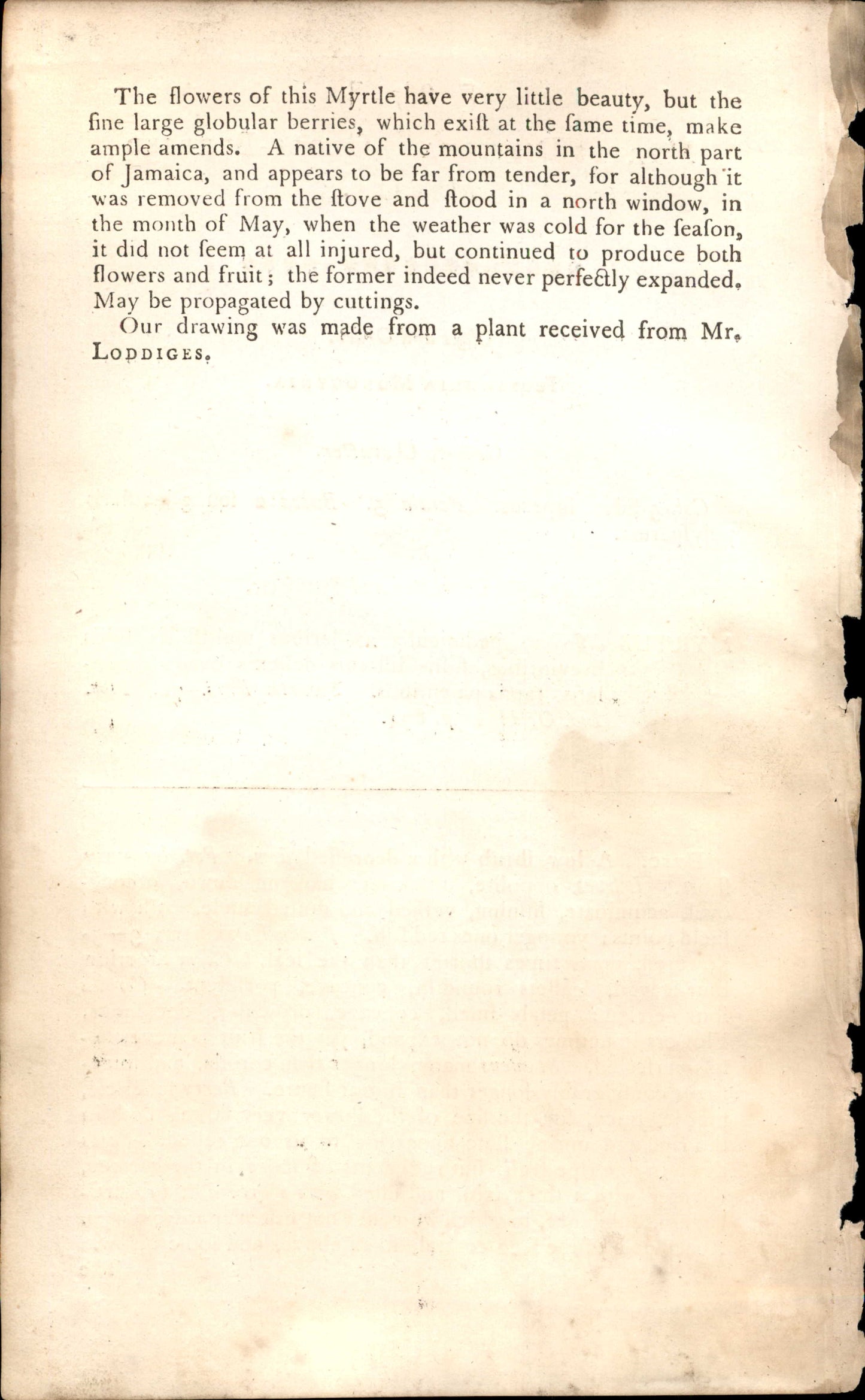 Plate 867 - Icosandria Monogynia